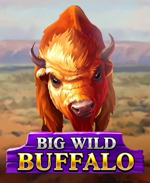Play Big Wild Buffalo at Vega Dream Casino